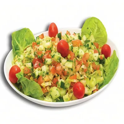 Arabic Salad - Damascus Restoran (Bukit Bintang) Menu