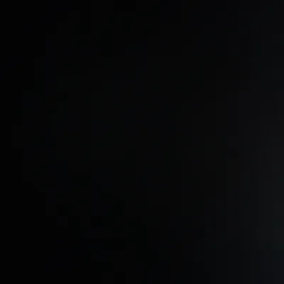 Bihun Goreng Biasa (Ayam) - Syafiq Thai Seafood Menu