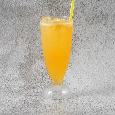 PS17. Jus Fresh Orange O - Village Grill Menu