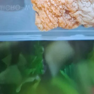 Yellow Mee Noodle Soup - Saiva Kitchens Menu